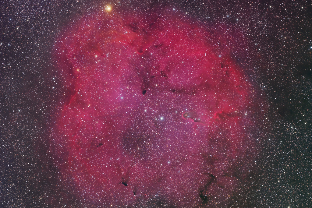 Elephant's Trunk and surrounding nebula (IC 1396). Taken with a Takahashi FSQ-106EDX-III telescope and an FLI ML11002-C camera.