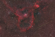 A Perseid Meteor shoots through the Heart Nebula.